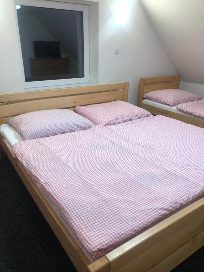 Apartmany U Vleku - Podkrovni Apartman Karlova Studánka Exterior foto